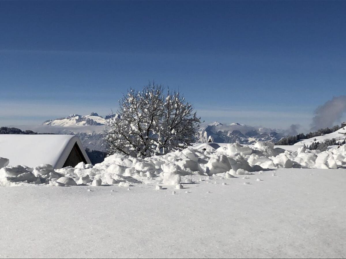 Walli Laterns - Ski Und Bergvergnuegen Direkt Vor Der Haustuer エクステリア 写真