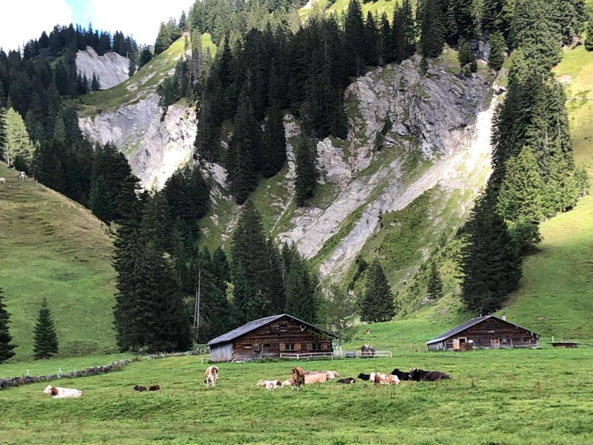 Walli Laterns - Ski Und Bergvergnuegen Direkt Vor Der Haustuer エクステリア 写真